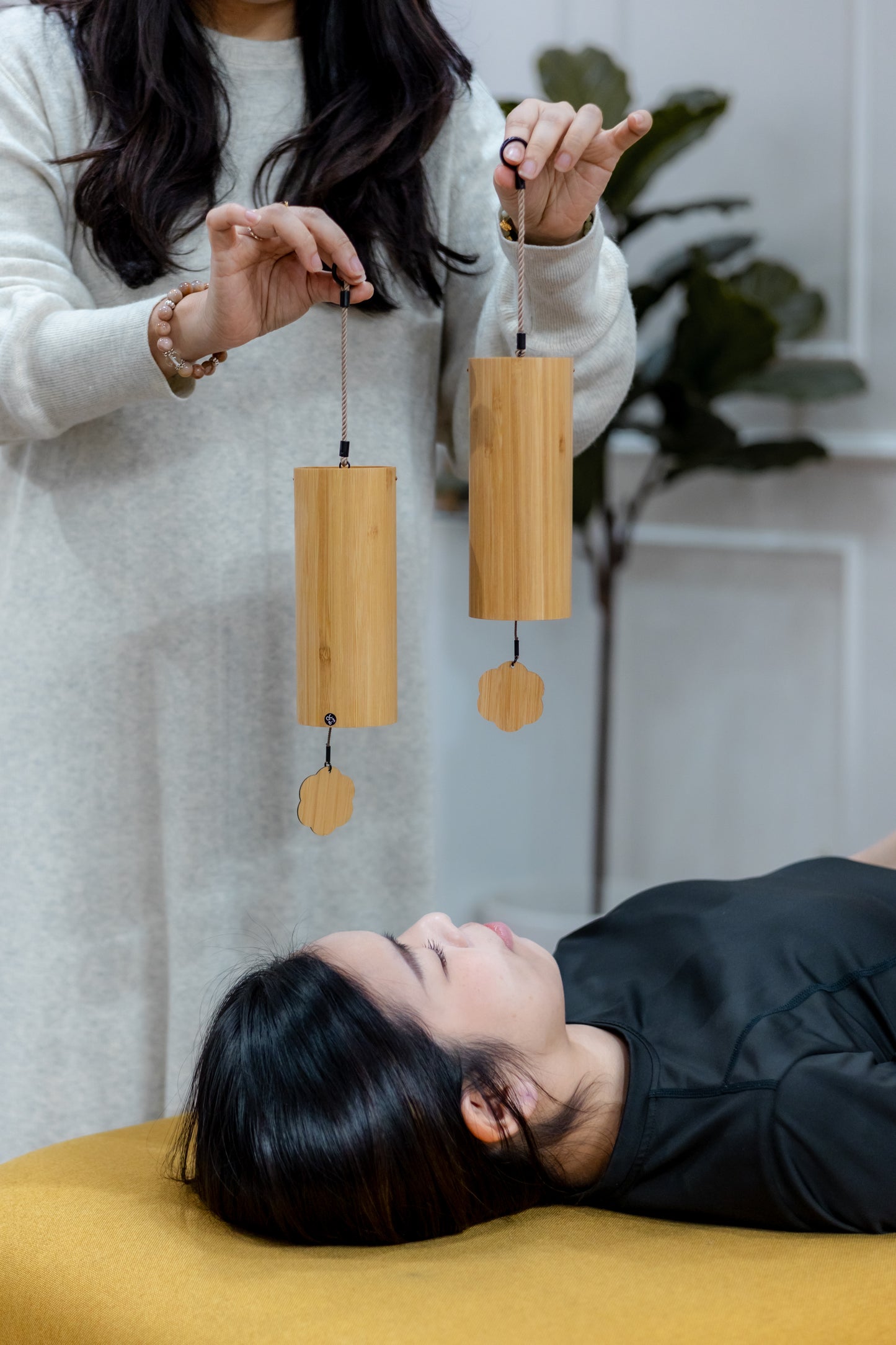 Sound Healing Therapy (Private)